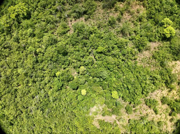 Napsan Intersection Montible bridge 2