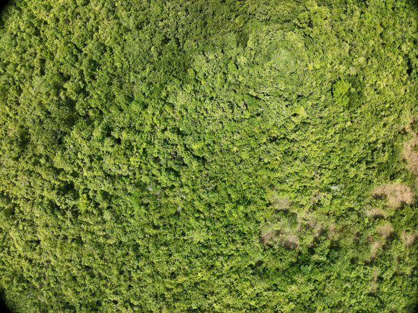 Napsan Intersection Montible bridge 2