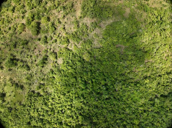 Napsan Intersection Montible bridge 2