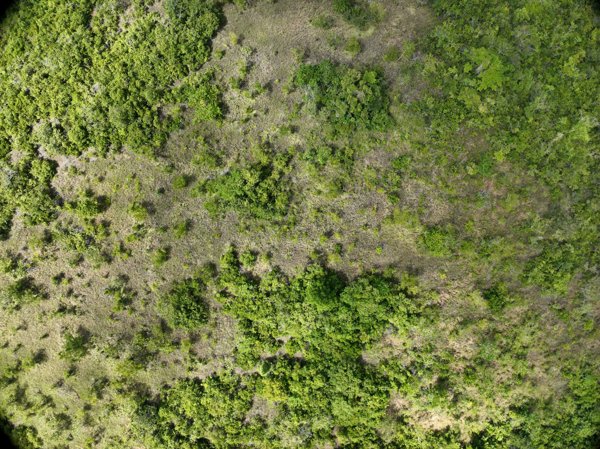 Napsan Intersection Batching Plant