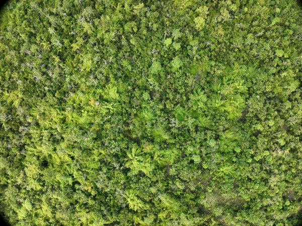 Napsan Intersection Batching Plant