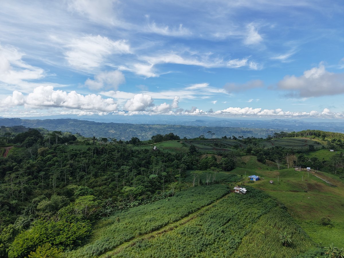 GOLDEN FARMSTEAD Min Sea Coffee farm resort