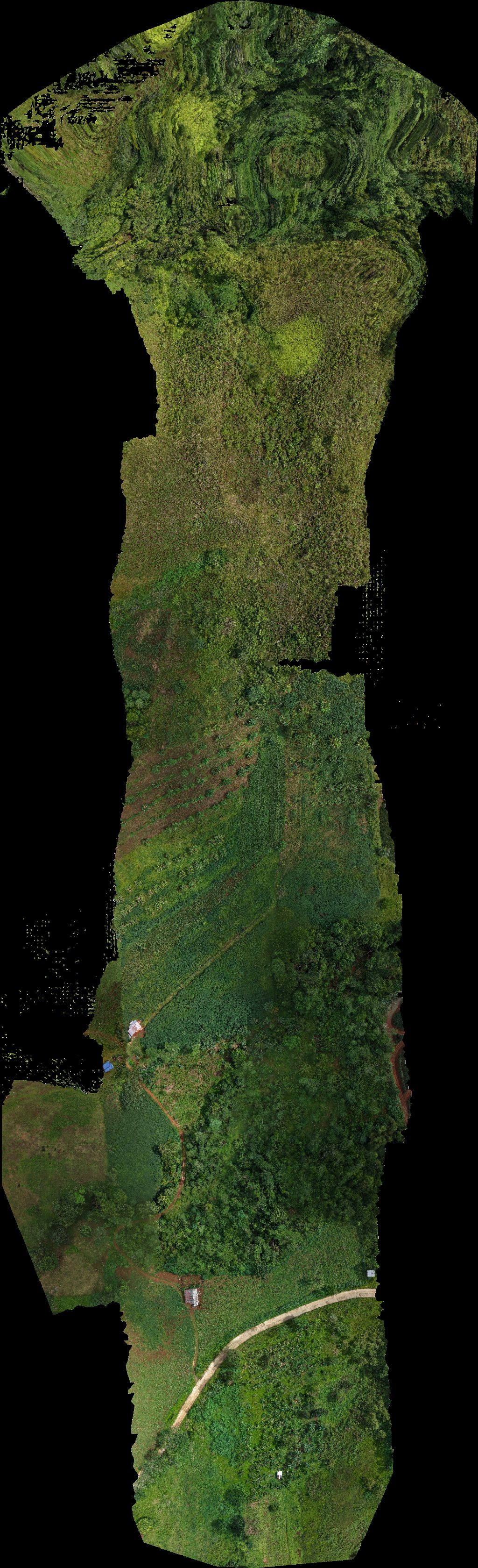 GOLDEN FARMSTEAD Min Sea Coffee farm resort