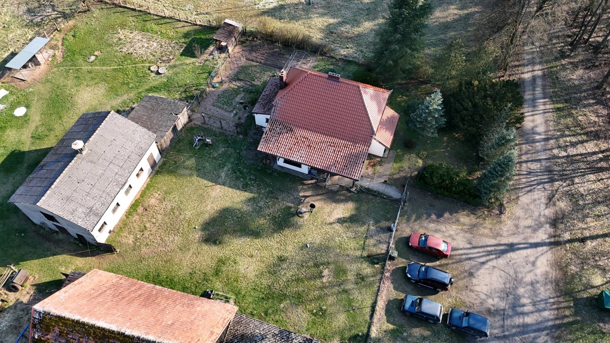 Leśnictwo Podstolice Nadleśnictwo Czerniejewo Pasieka wielkopolska