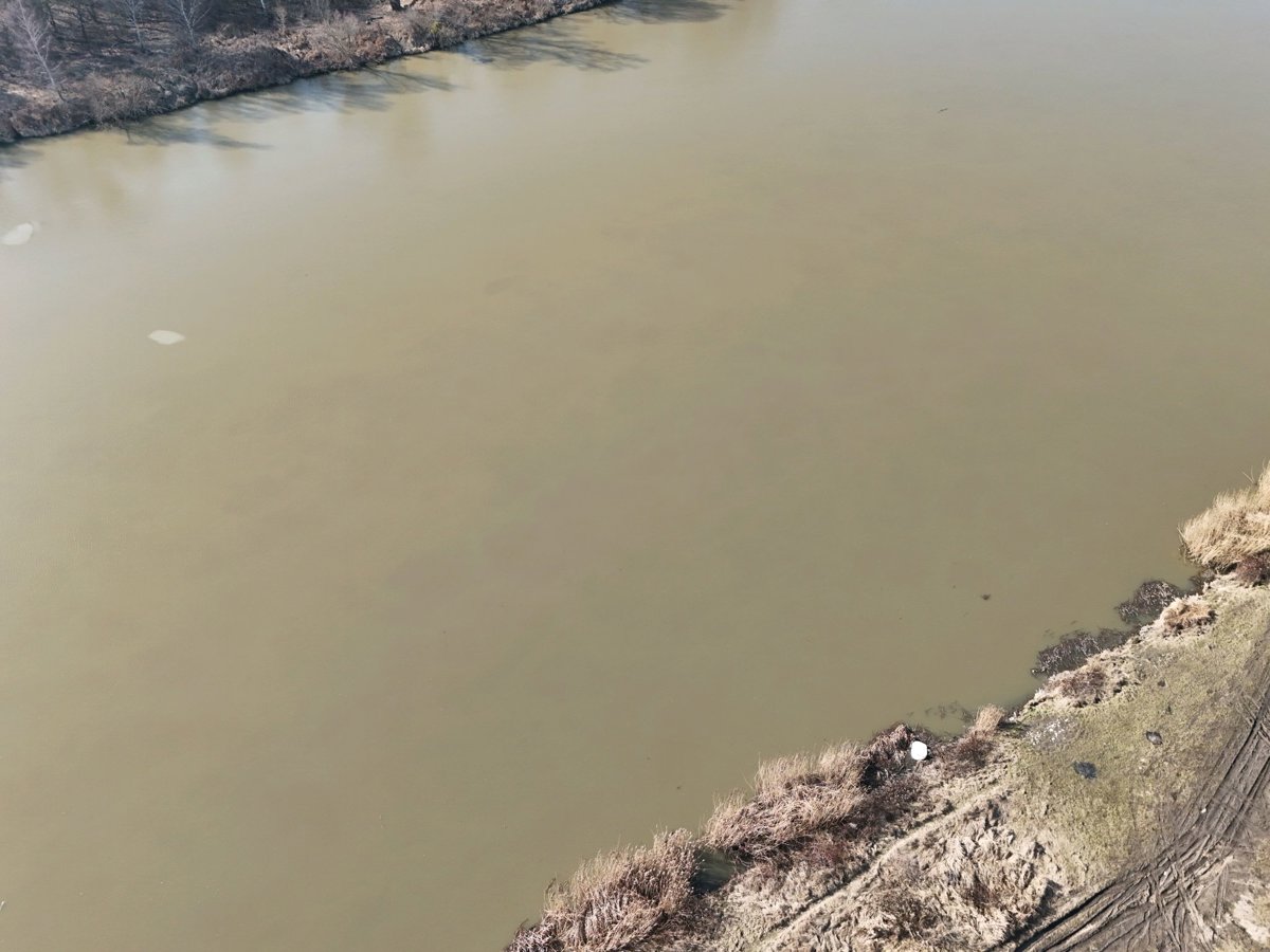 Dawna przystań parowców Polana Rekreacyjna w Lesie Osobowickim