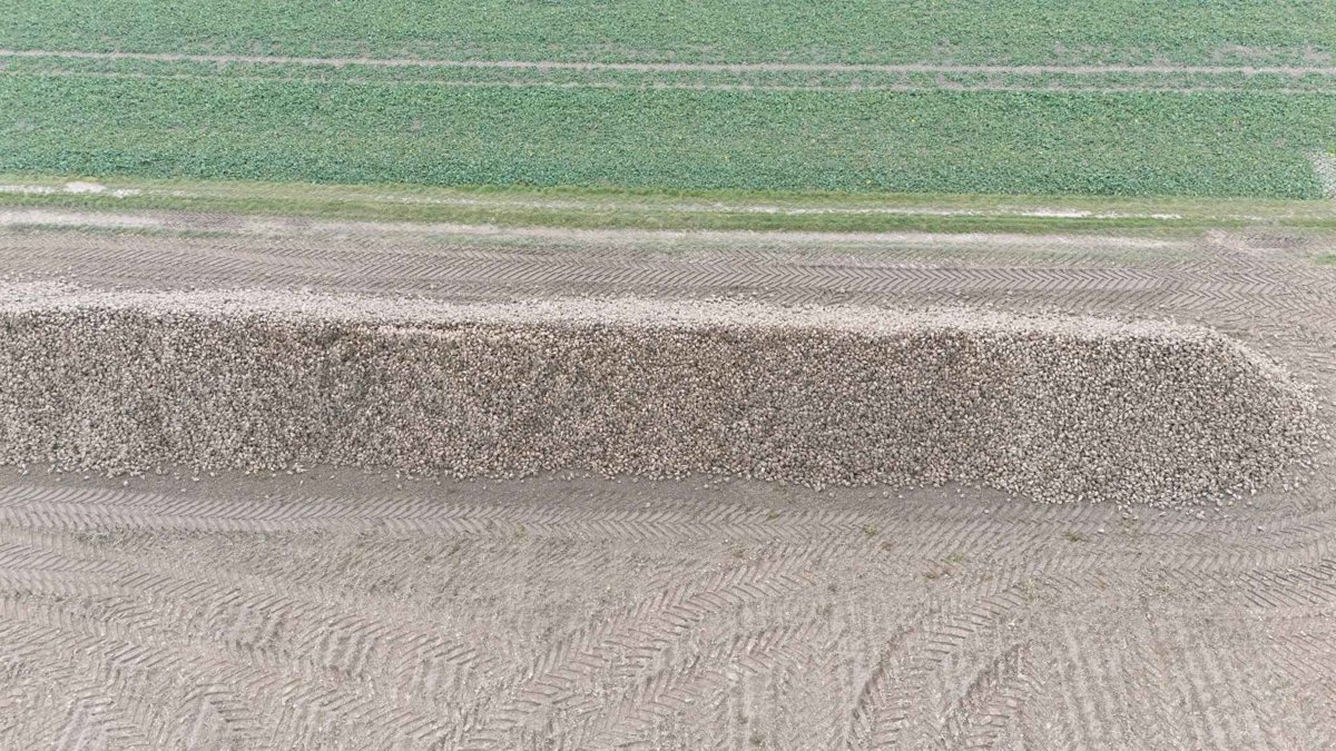 Parking Przychodnia Lekarska Larkmed Dytmarów