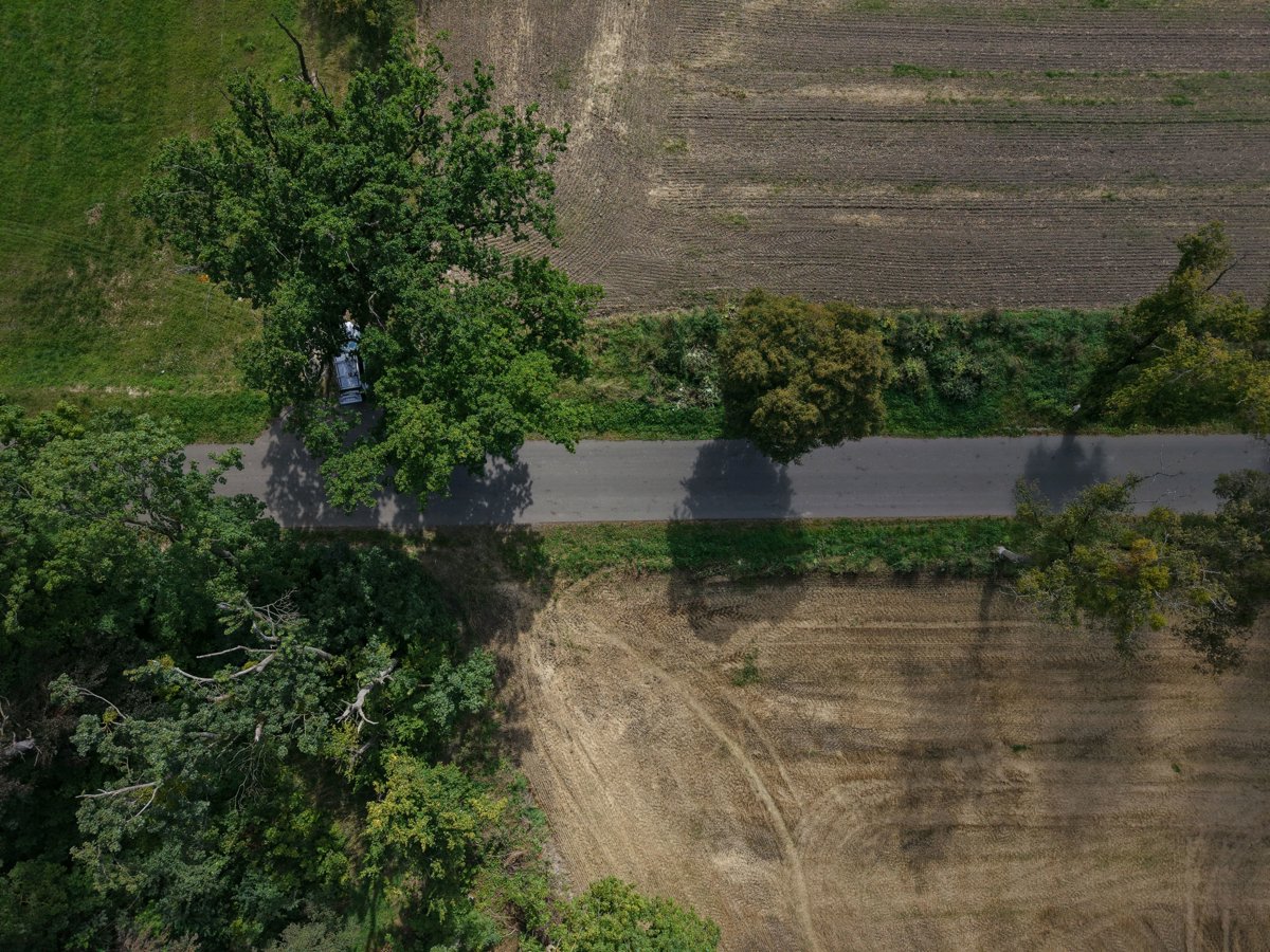 Otrol Sp z o Sołtys