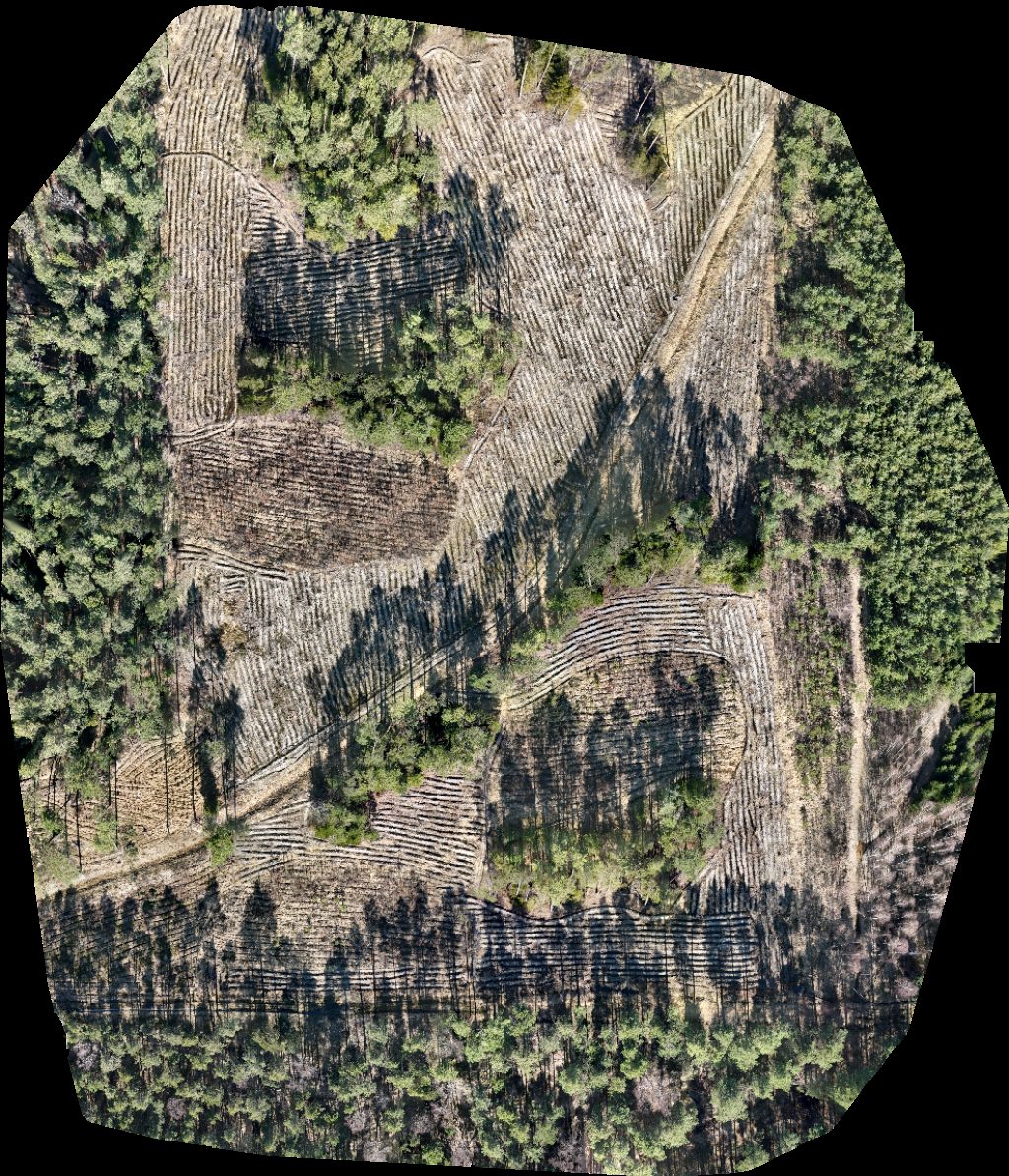 Parking Grób sanitariuszy sowieckich z 1945 roku