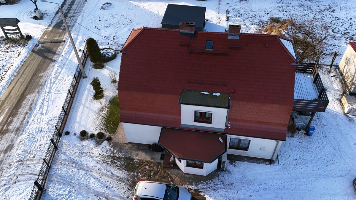 EcoSTEPS Przemysław Stępień Niskie Łąki U Bodzia