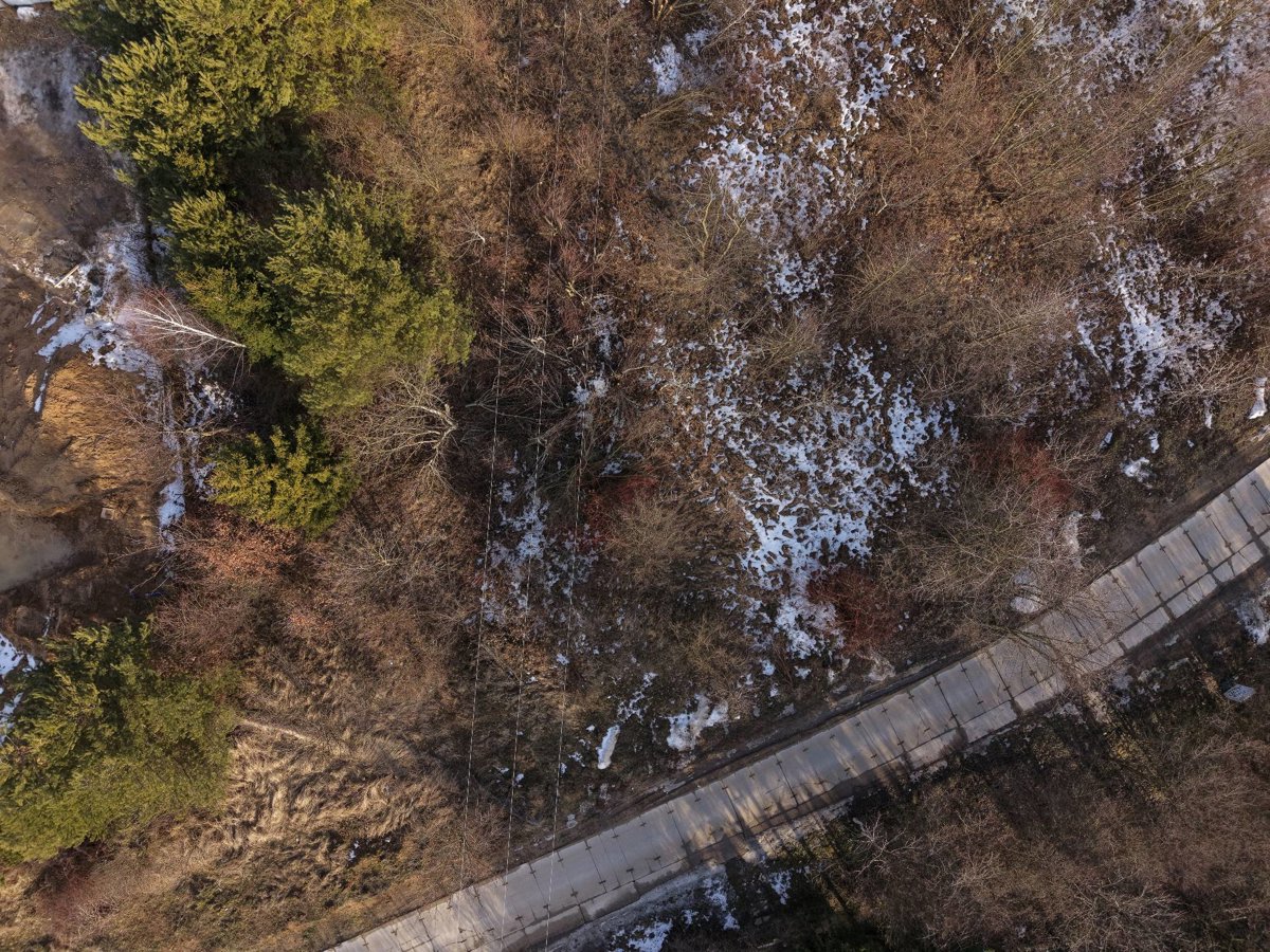 FAMILIES GANG INSTYTUCJA Swimfun