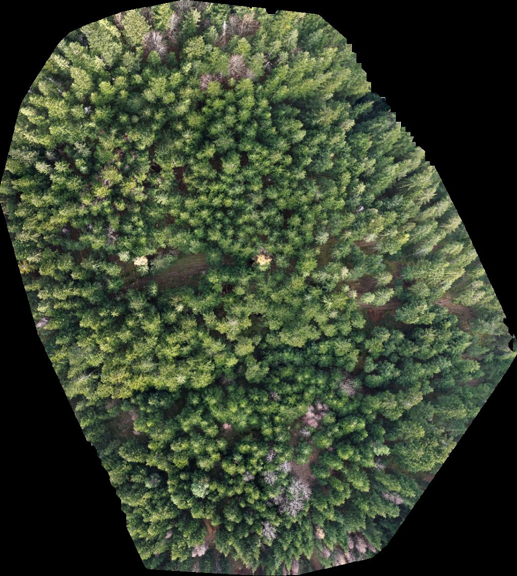 Domek wypoczynkowy Arekamrat