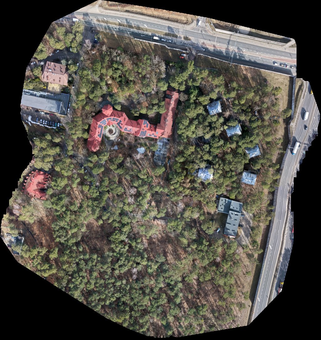 ideanima Lesna Polana