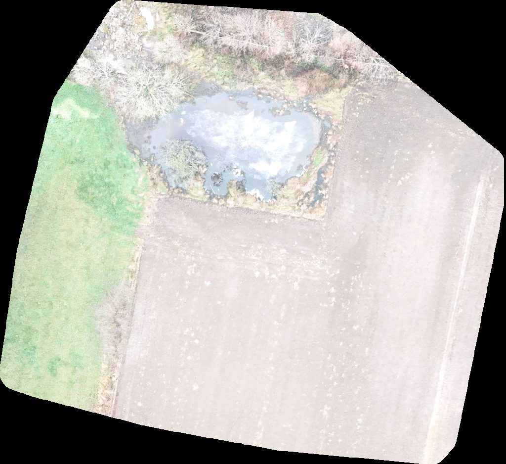 Koneser usługi ziemne i transportowe Budowa nawierzchni wyburzenia Tom Tech Tomasz Kobierski