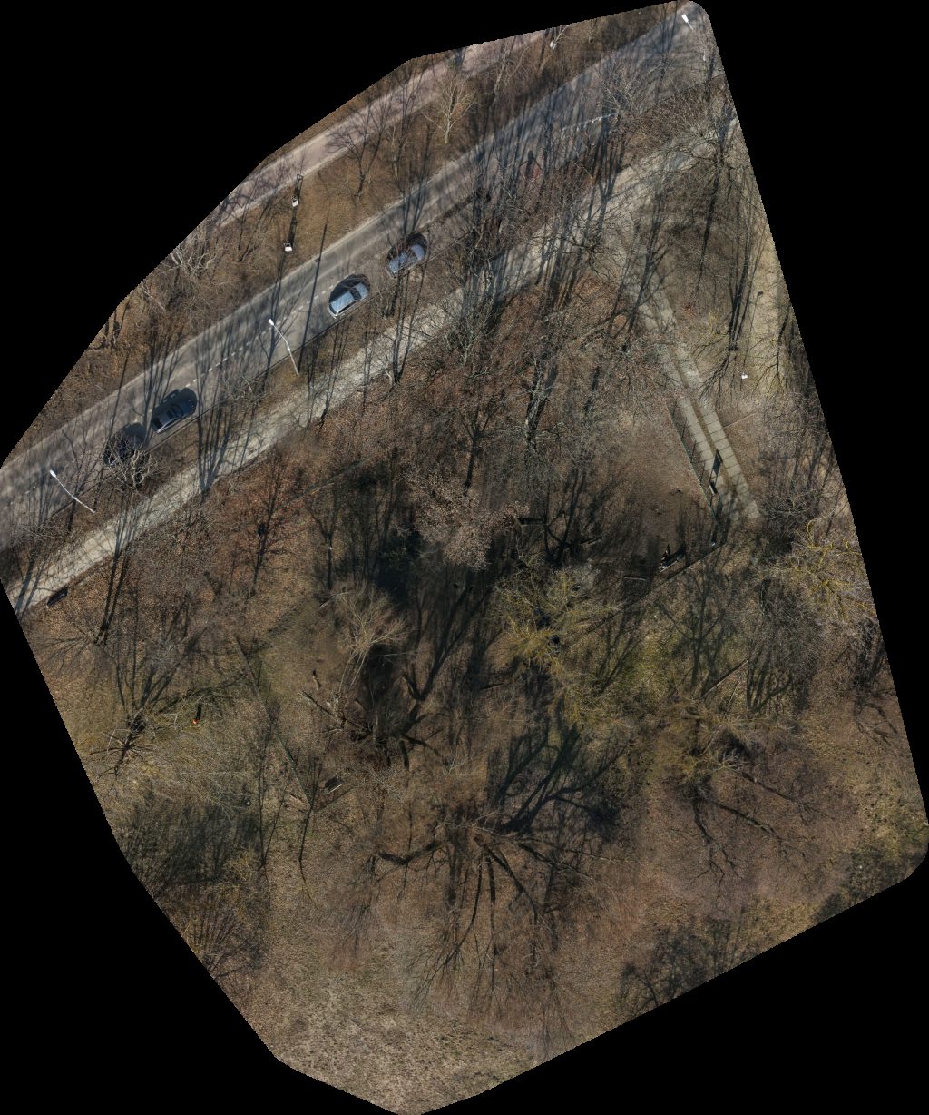 Jelitkowo wybieg dla psów Parking darmowy