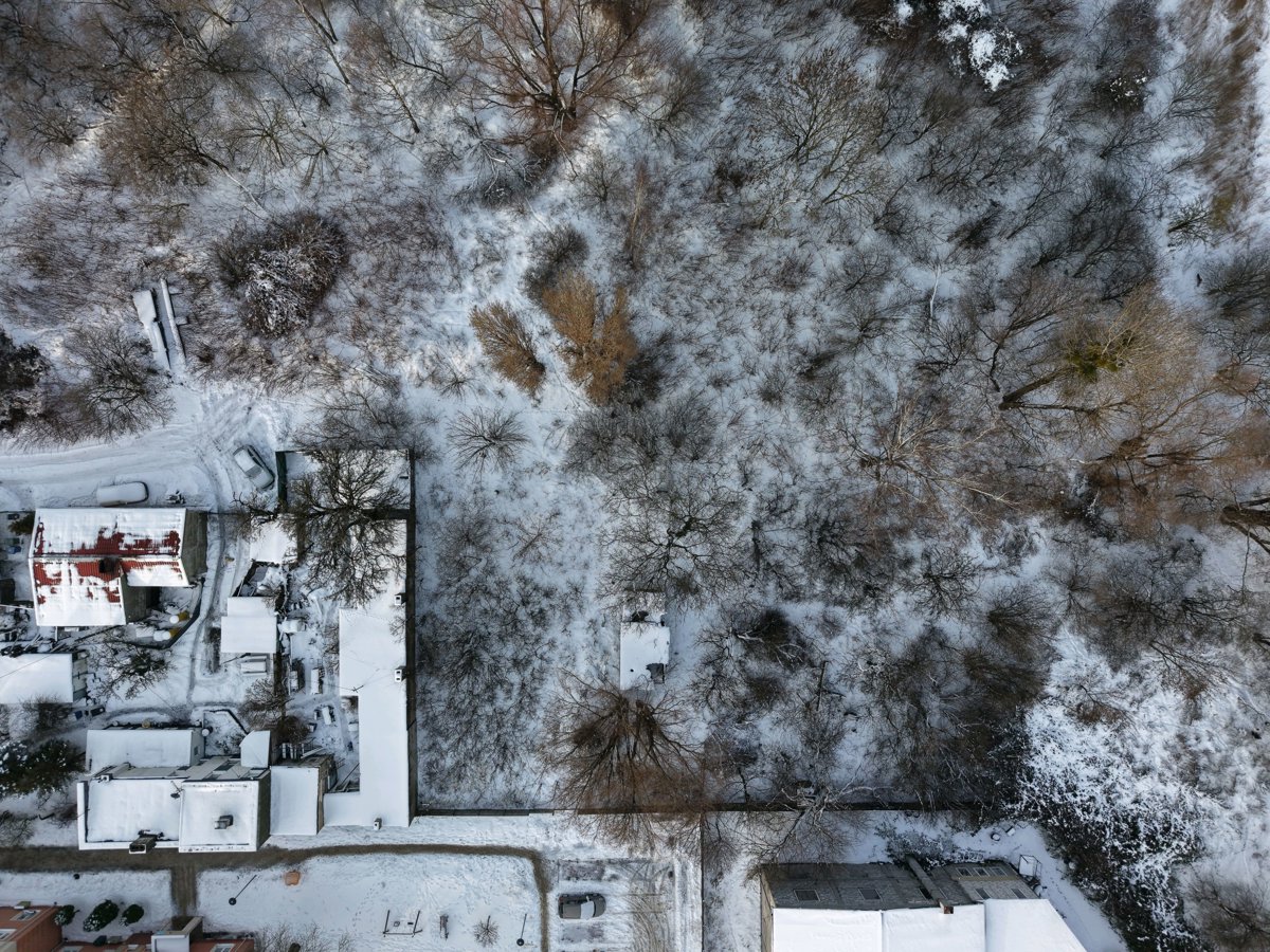 Paulina Maciejak Higienistka stomatologiczna lek dent Martyna Włodarska Stomatolog