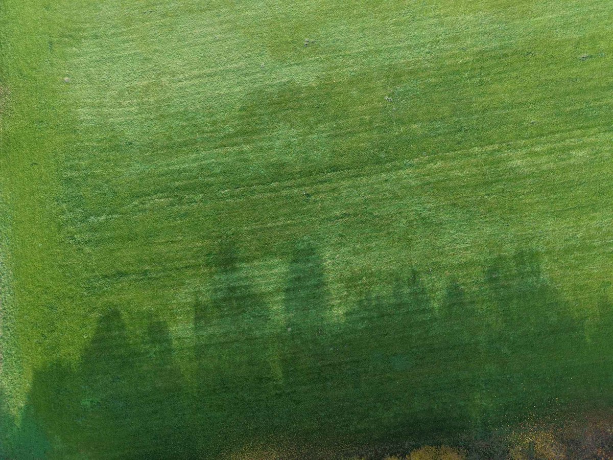 Argo Elektro pomiar ZPUH