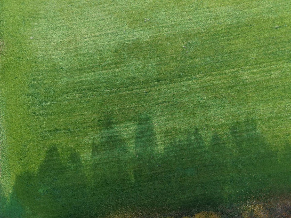 Argo Elektro pomiar ZPUH