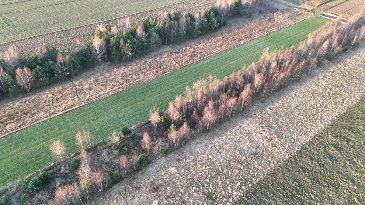 Gospodarstwo Pasieczne Mirsa Stowarzyszenie TWOJA SZANSA