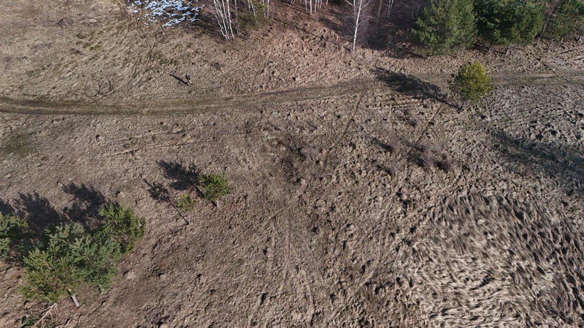 GEOSYSTEM Oaza spokoju One Bedroom House