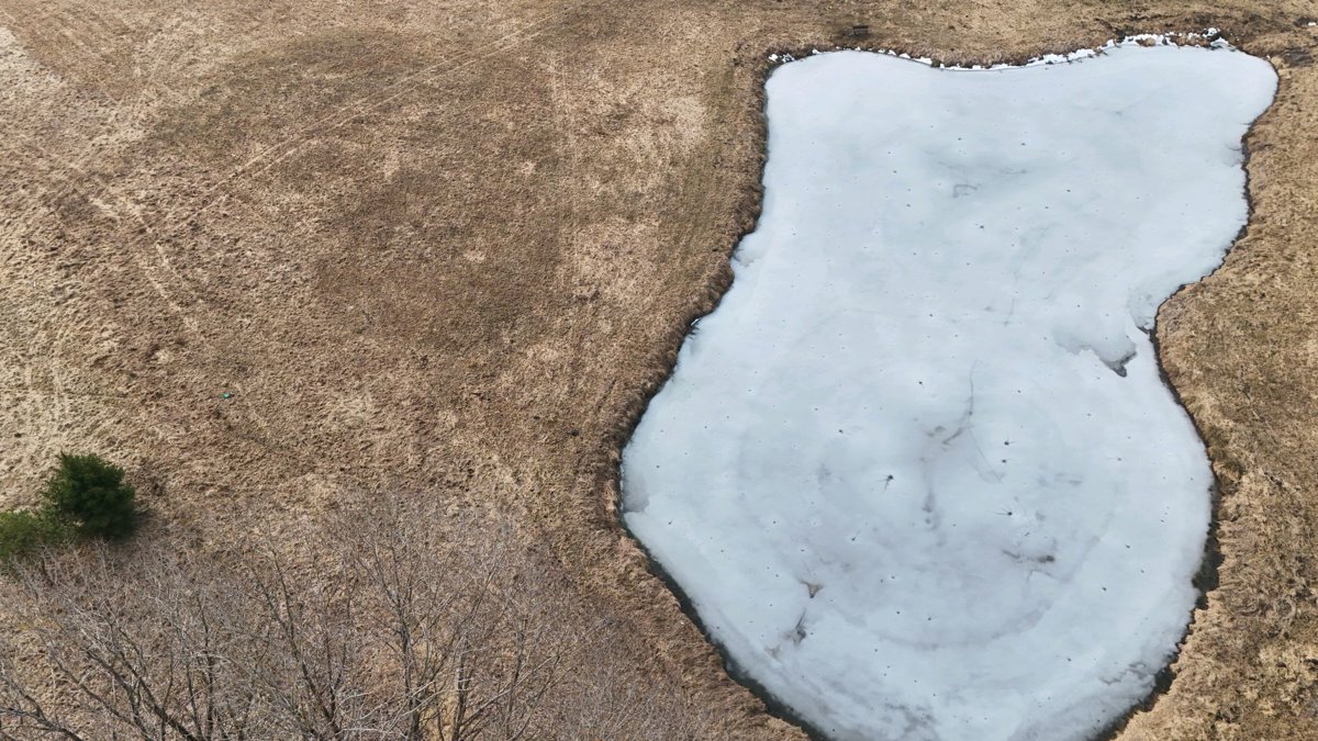 GEOSYSTEM Oaza spokoju One Bedroom House