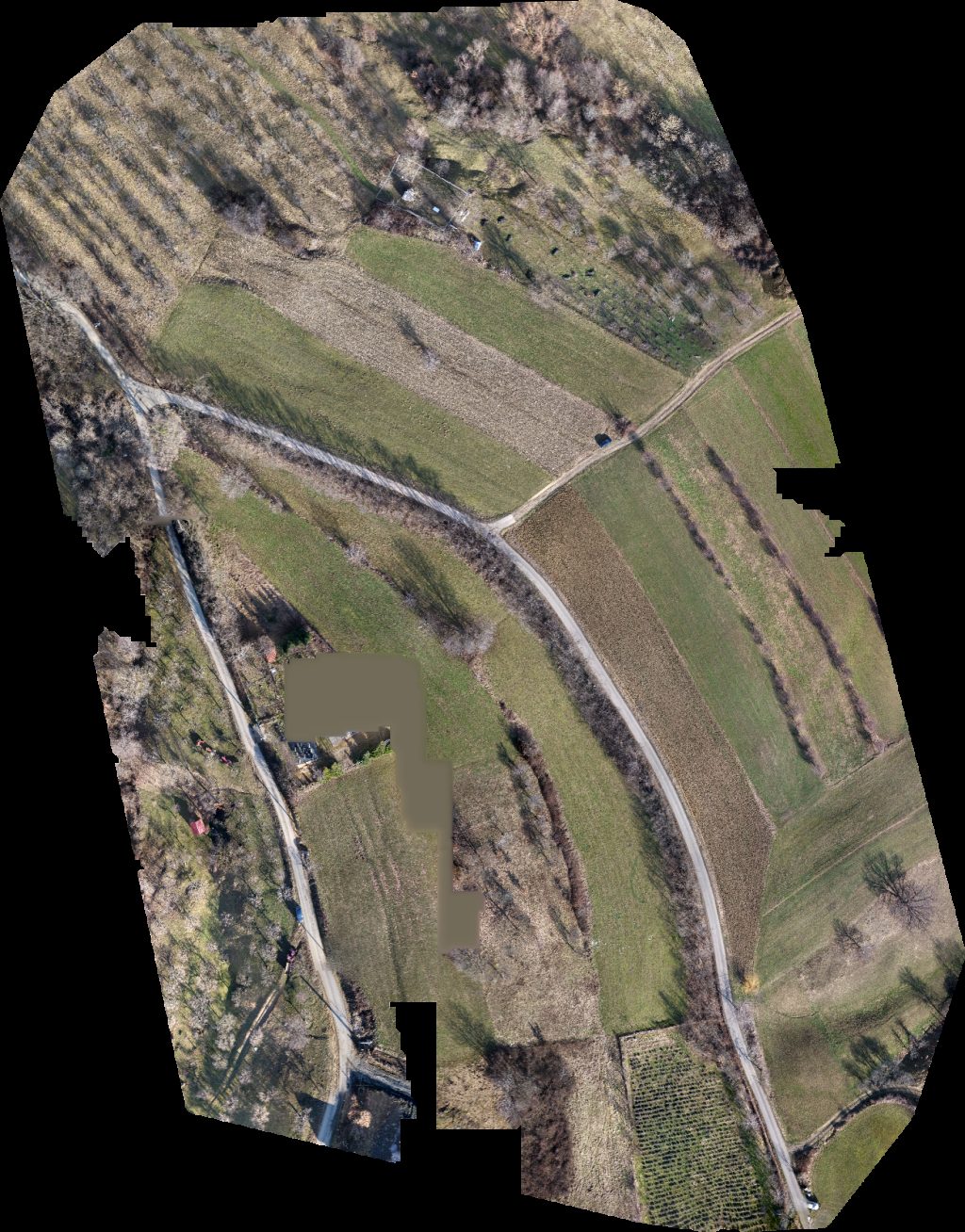 Gielle Lavanda Amore Belvedere Munții Gutâi