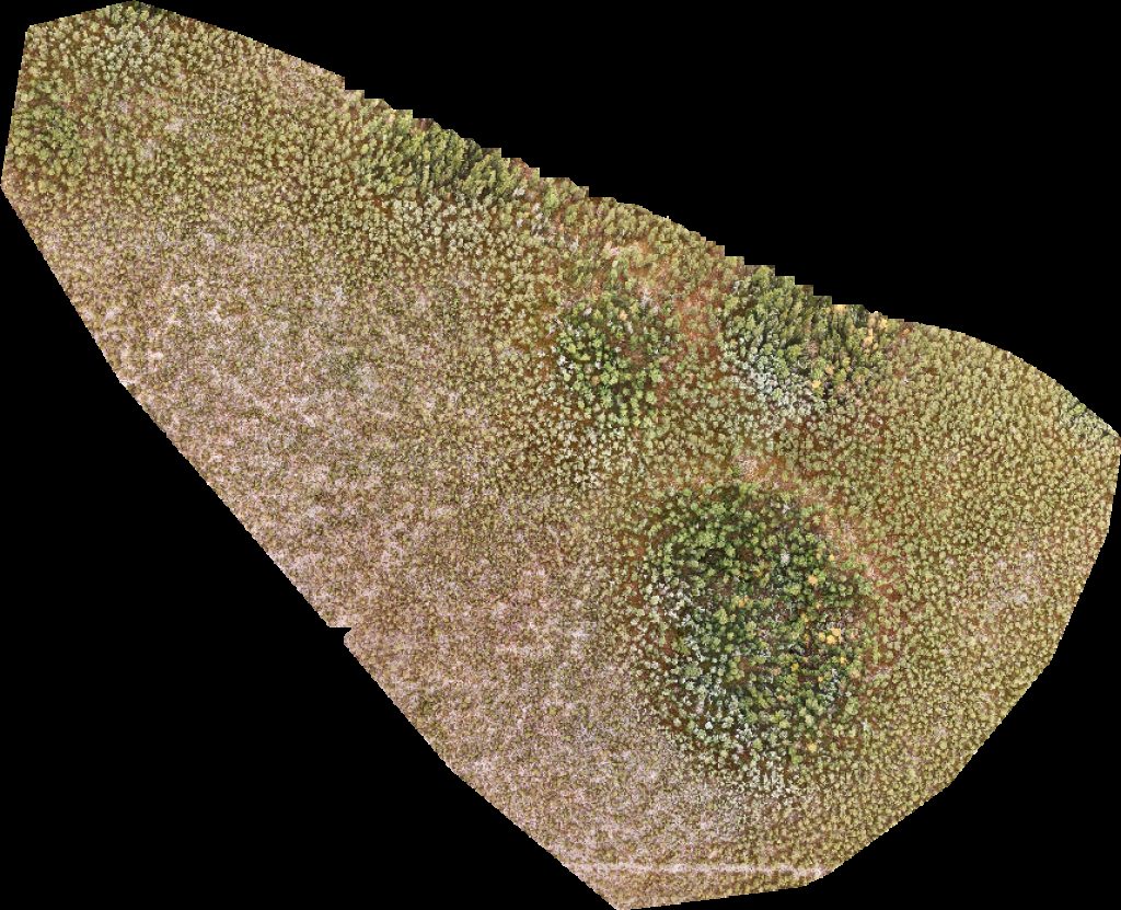 Sberbank Bankomat Детский сад Морошка