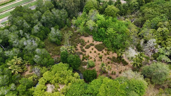 Football Field Elite Gym