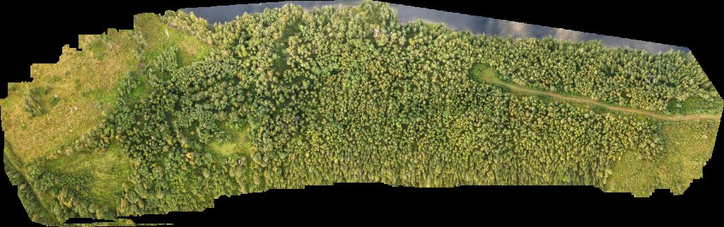 Ammer Travbana Ammerån naturreservat