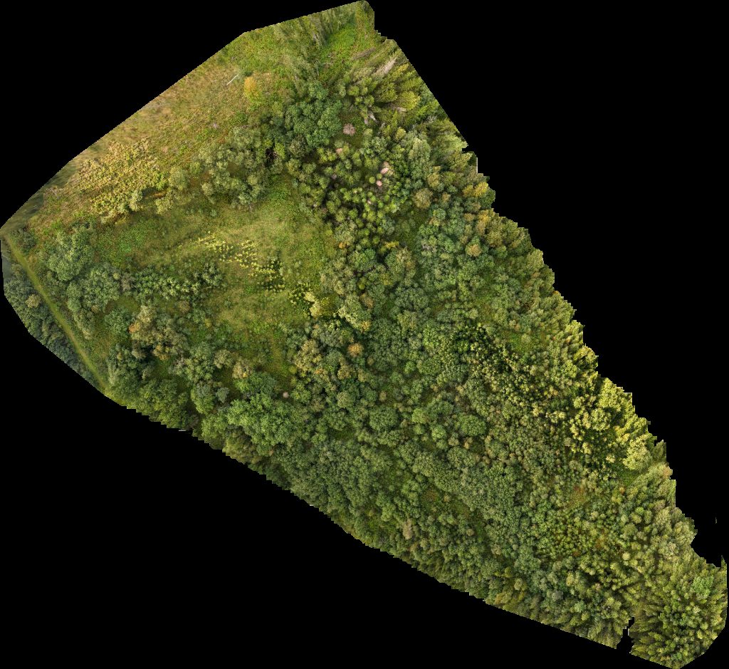 Böle Krångede Bergvallens Stugby