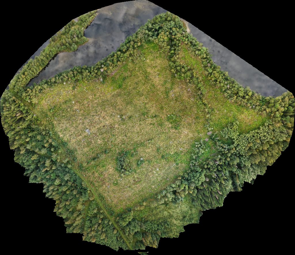 Böle Krångede Bergvallens Stugby