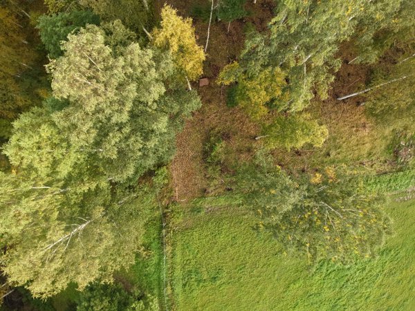 Böle Krångede Bergvallens Stugby