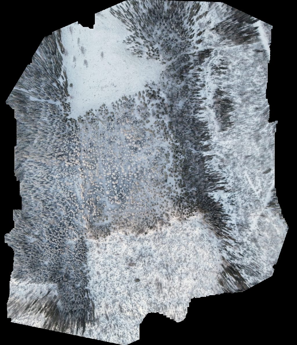 Jansmyrberget Över Böle