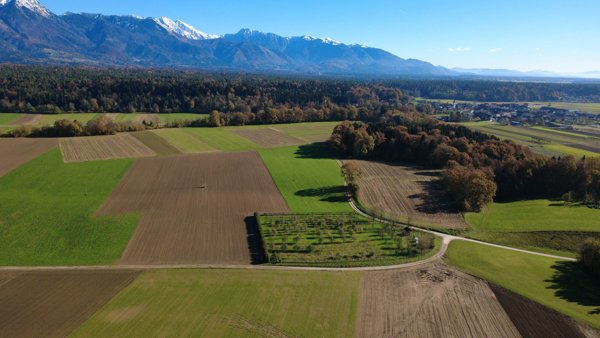 Silent Orchard RegioMarket