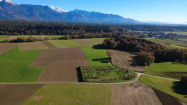 Silent Orchard RegioMarket