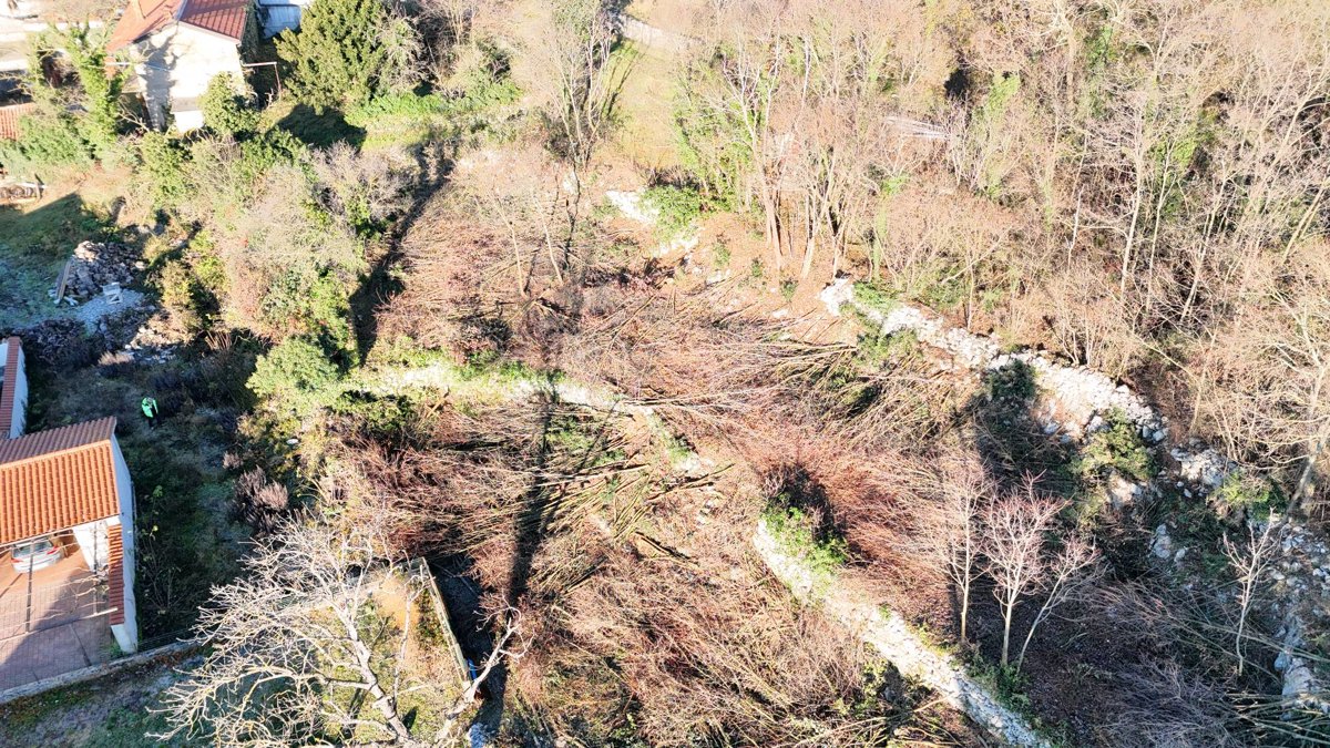 Callin Organic Wines Atelje Rener Klemen preparatorstvo s p