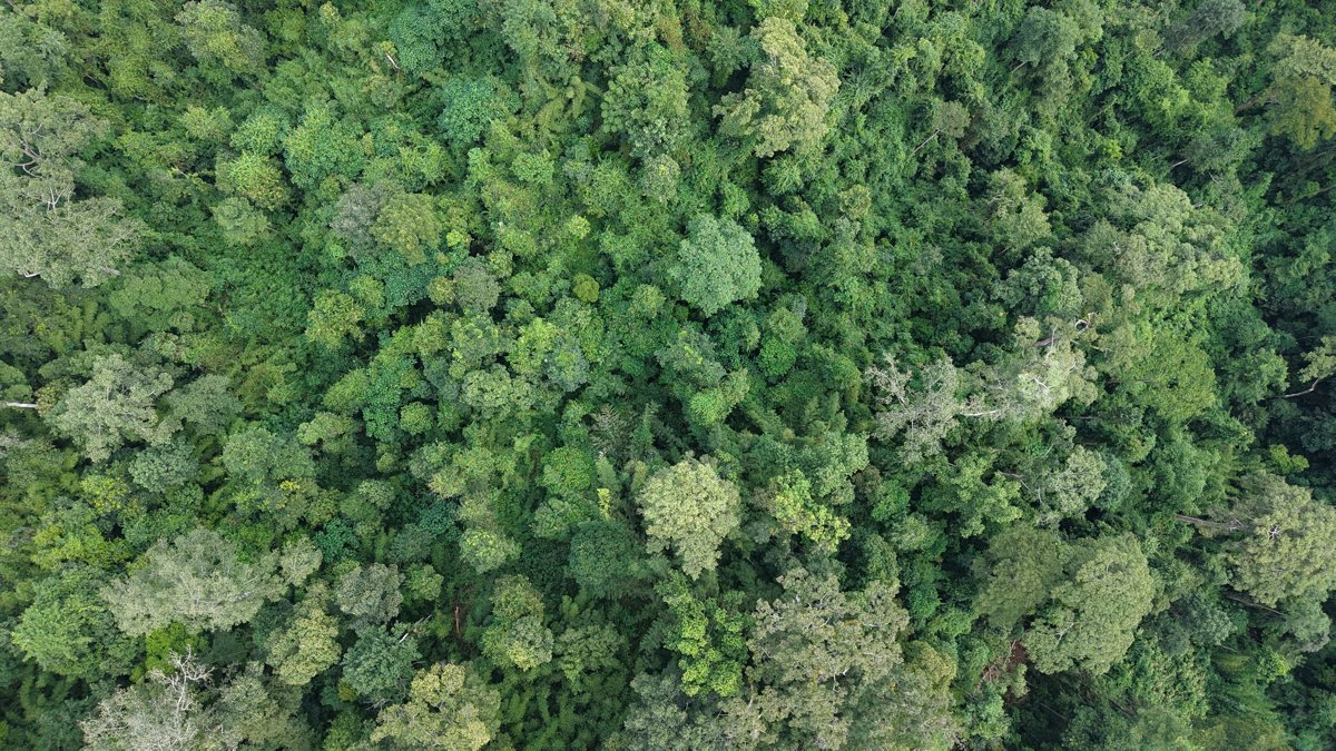 Wat Tham Pha Plong Doi Biosphere Reserve Office