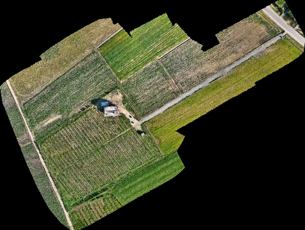 Pépinière Fresh N Green