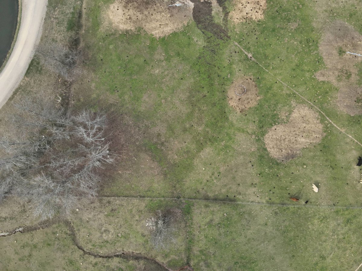 Country Club Davis Development