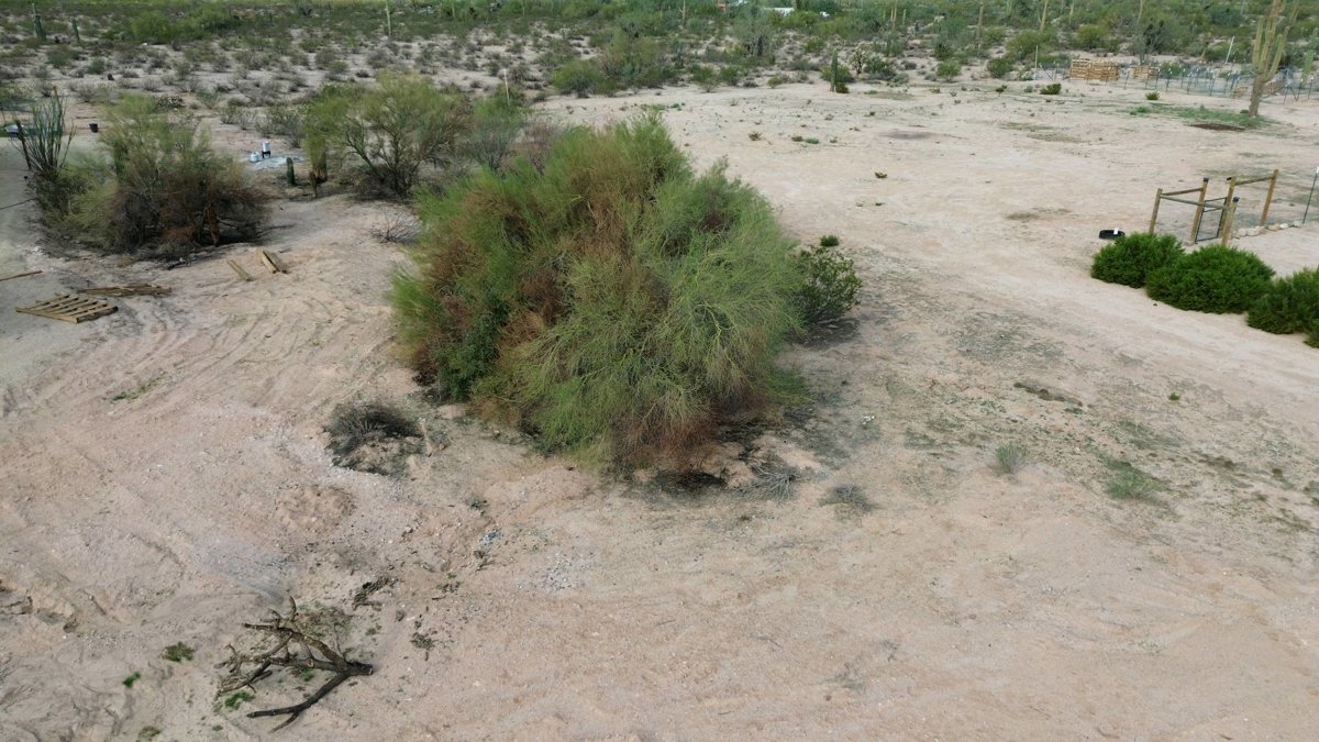 Rita Weiss Desert Canyon Properties Mark Williamson Memorial