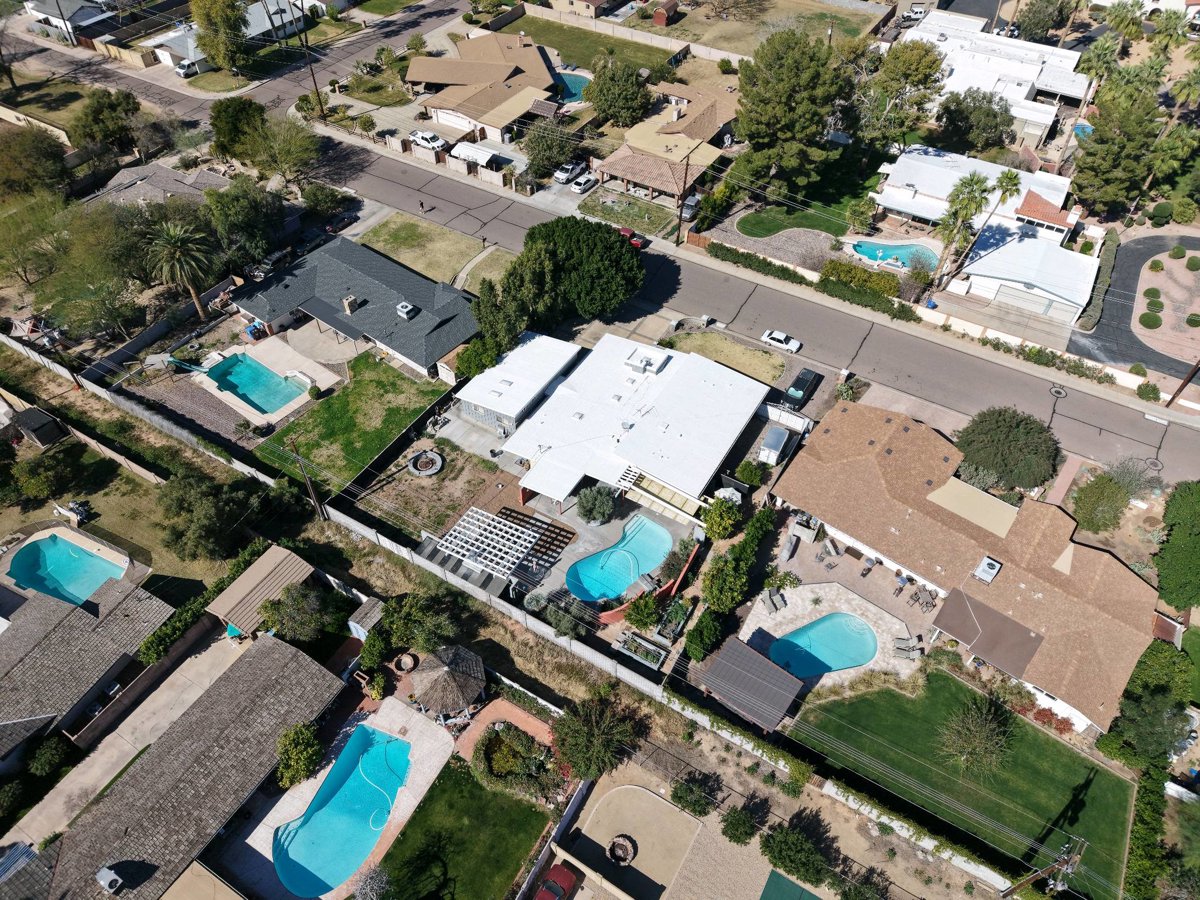 Wolf Marie Whole Mama Wellness Collective Doulas