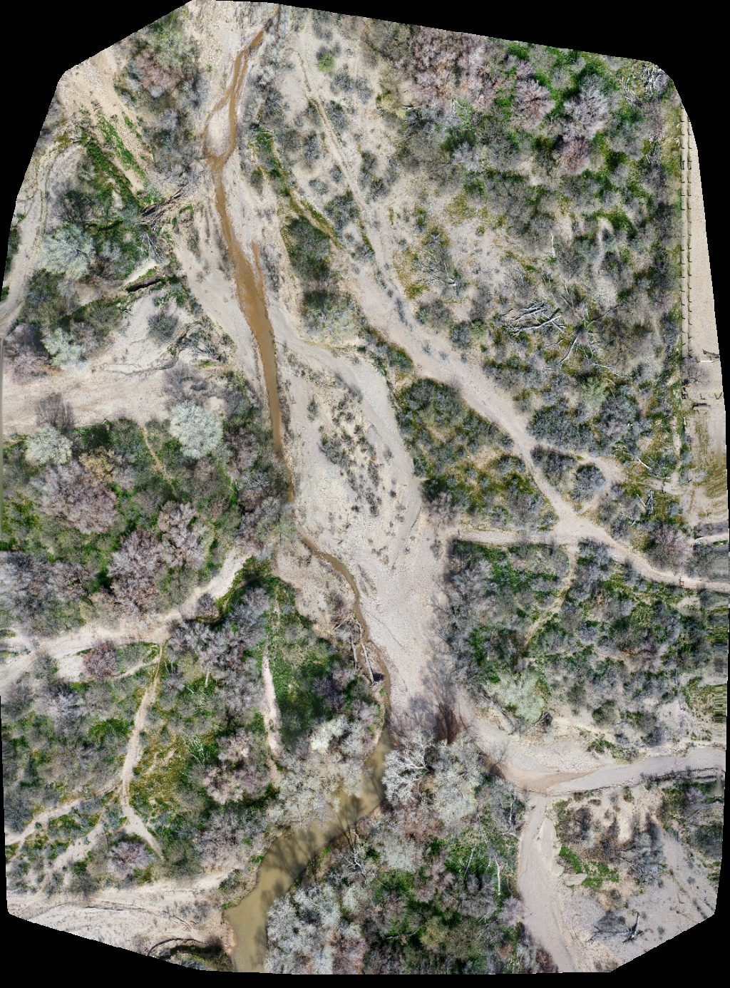 1 Aravaipa RV Park LLC