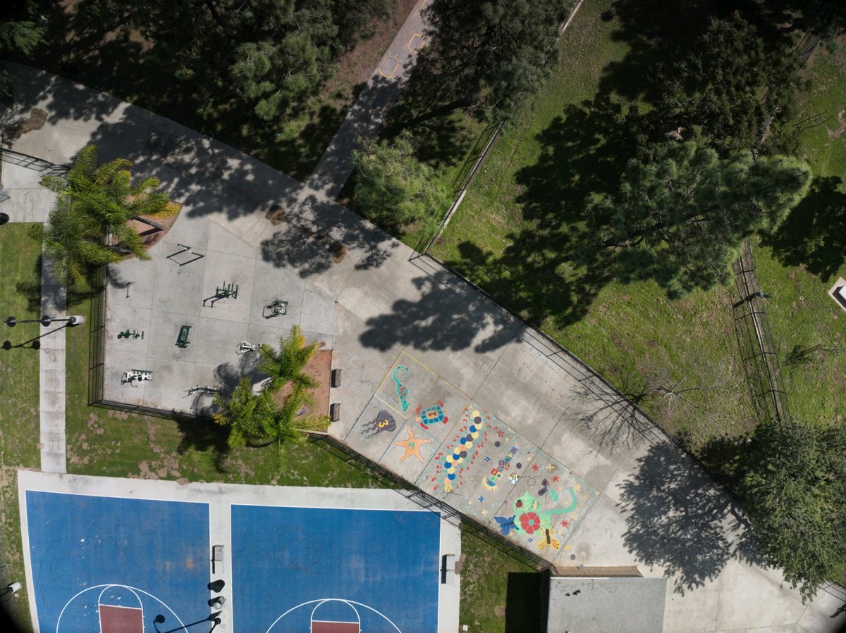 Wells Park Baseball field