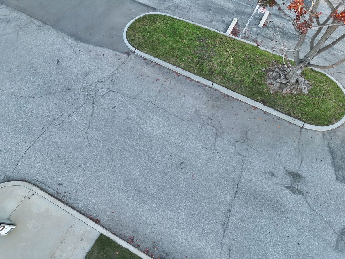 Claire Czajkowski Therapy Nancy Bubica