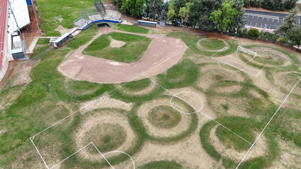 El Taco Asado Pi Nongs BobaHouse X SapHouse Food