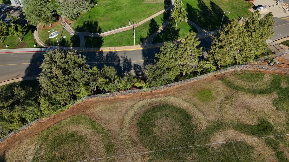 Shasta Sleep Services El Taco Asado