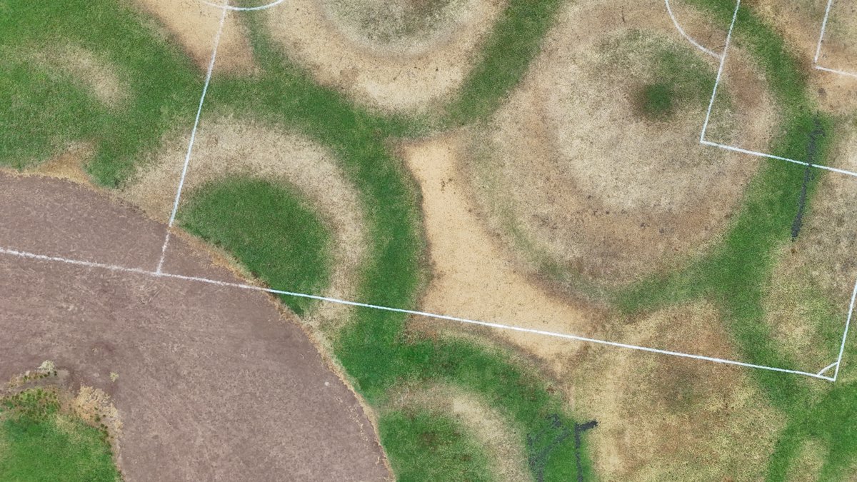 Shasta Sleep Services Smallshots Gallery