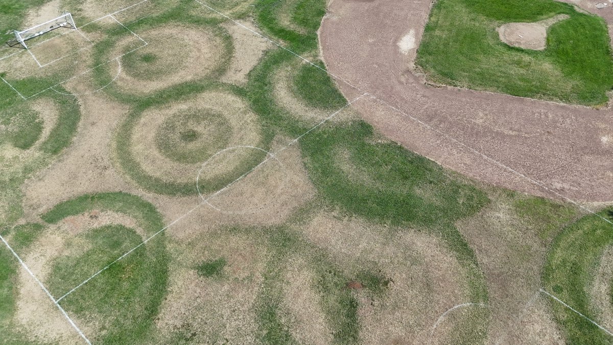 Shasta Sleep Services Smallshots Gallery