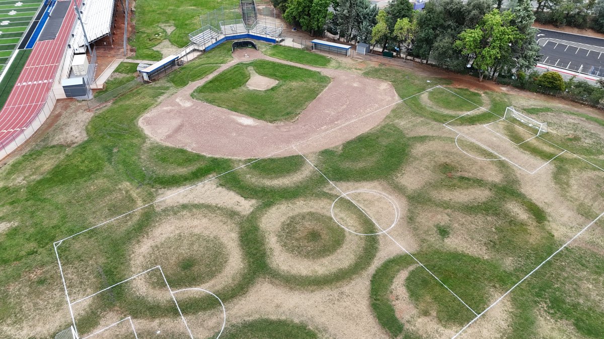 Shasta Sleep Services Smallshots Gallery