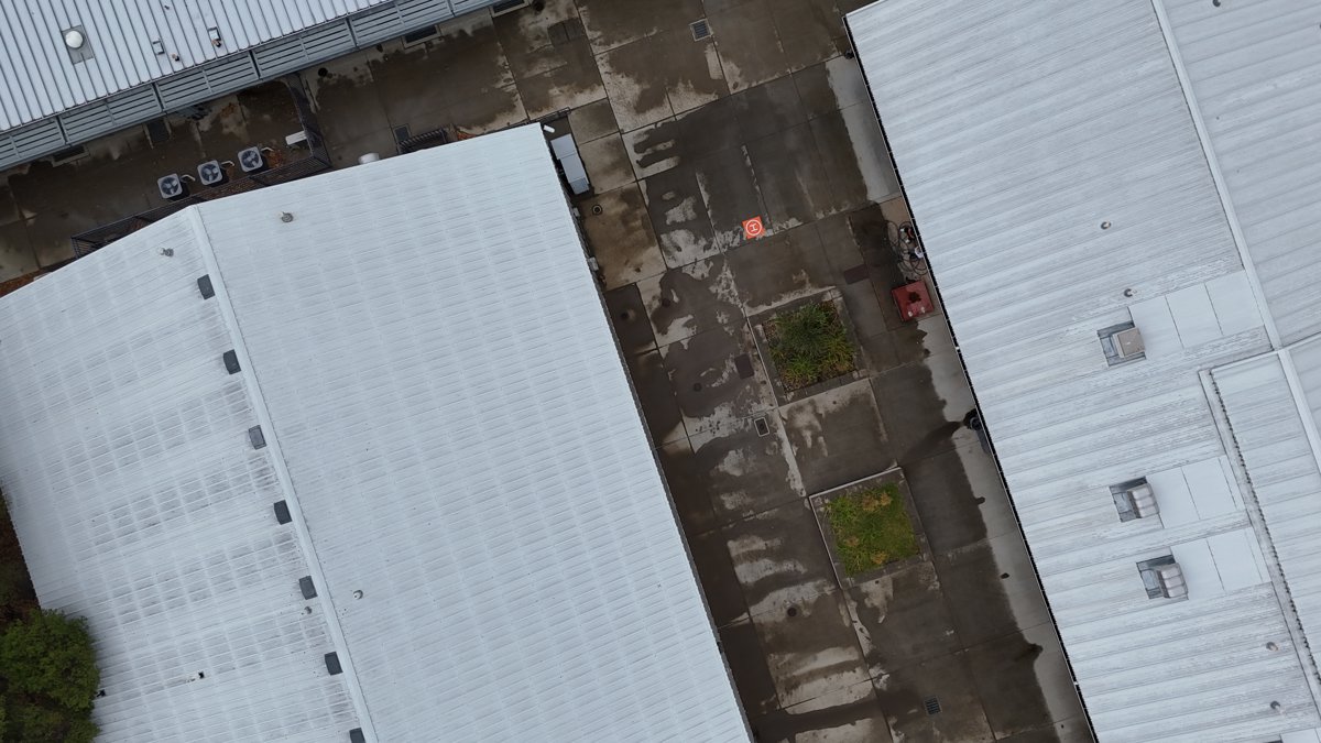 Shasta High School Pioneer