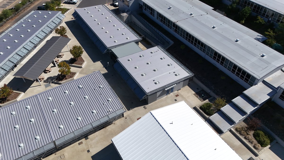 Shasta High School Pioneer